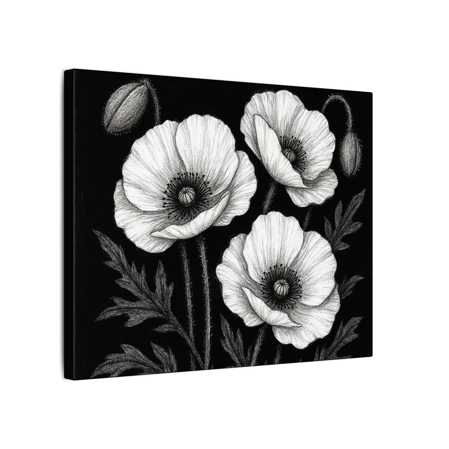 Mohnblumen Leinwandbild Schwarz-Weiß