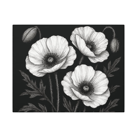 Mohnblumen Leinwandbild Schwarz-Weiß